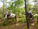 2014-06-05 10-10-37 Foret de Fontainebleau FGn